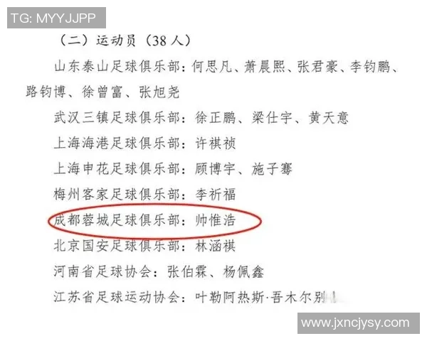 中国男足退役足球明星的辉煌历程与未来发展展望